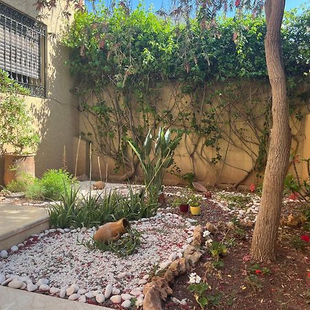 Marrakech Le Joyau Villa Piscine Privee Jardin 马拉喀什 外观 照片